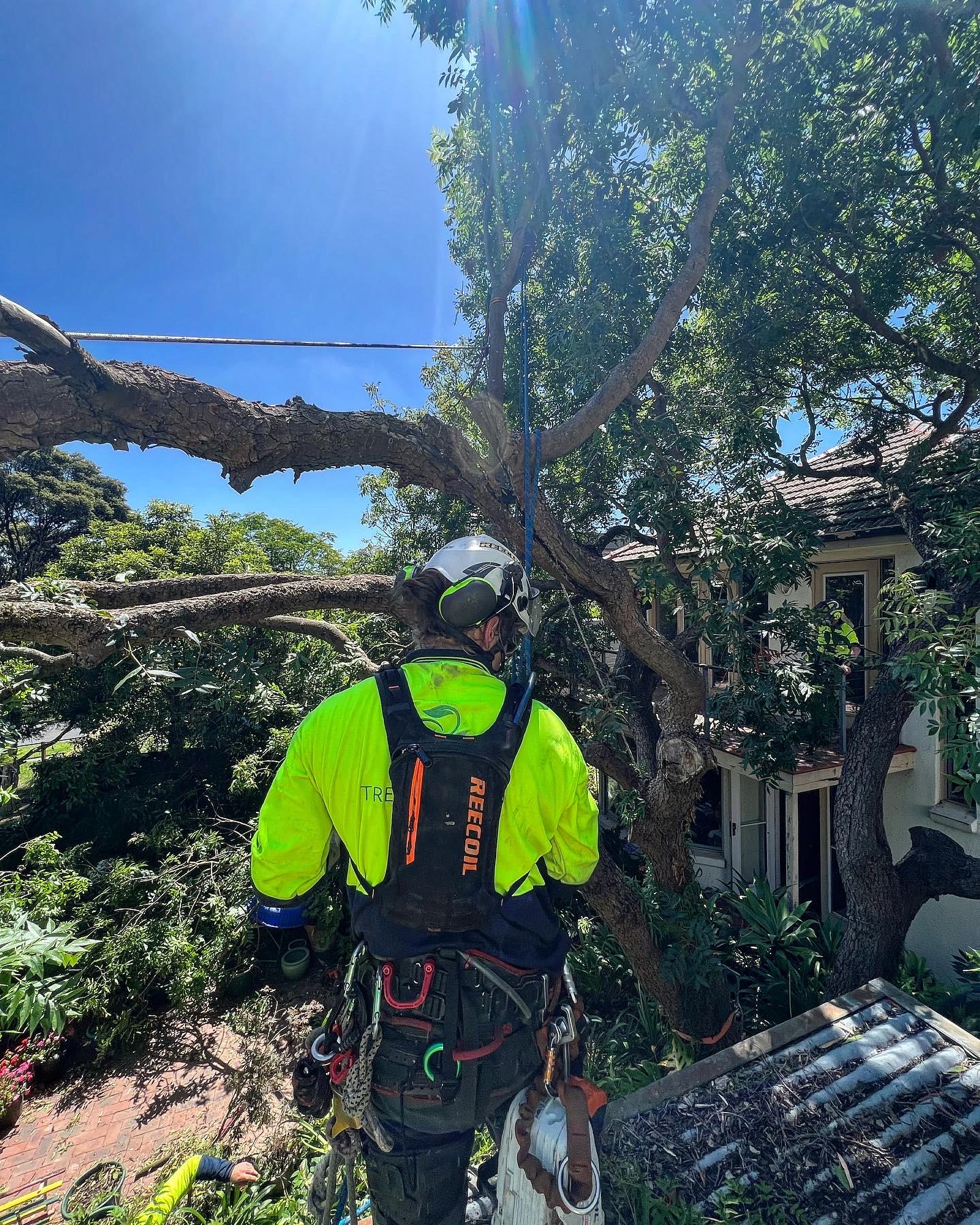 Precise Tree Services